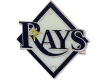 Tampa Bay Rays Logo Pin