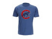 Chicago Cubs MLB Men s Legend T Shirt
