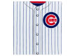 Chicago Cubs Book Cover