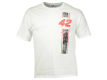 Juan Pablo Montoya Racing Mens Vert Stripe Driver T Shirt