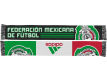 Mexico 2013 Federacion de Futbol Scarf